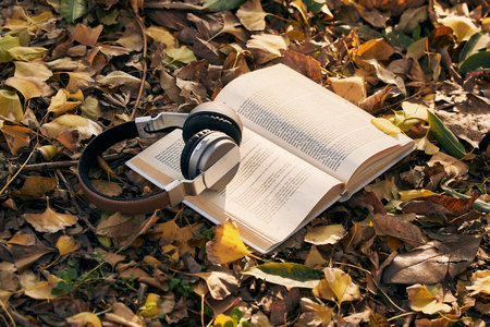 蘭州大學金融專碩調劑時間及流程 蘭州大學金融專碩調劑時間及流程