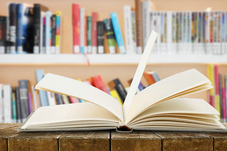 聊城大學MPAcc每年什么時候調劑