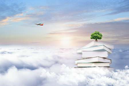 中國石油大學(北京)MEM調劑 中國石油大學(北京)MEM調劑