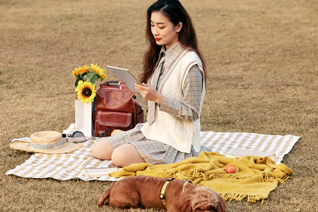 大連理工大學金融專碩調劑一般是幾月份