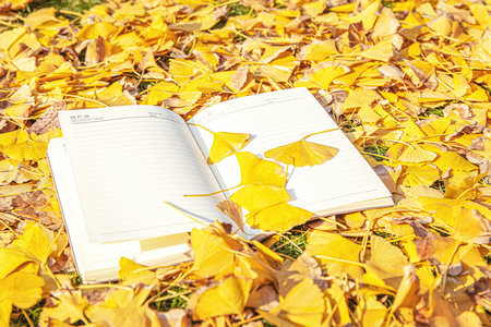 齊魯工業(yè)大學(xué)非全日制研究生調(diào)劑時(shí)間一般什么時(shí)候？