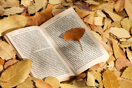 中國海洋大學MEM一般幾月份開始調劑？