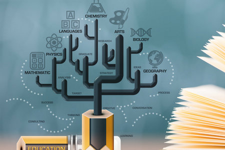 山東大學(xué)在職研究生熱門招生專業(yè) 山東大學(xué)在職研究生熱門招生專業(yè)