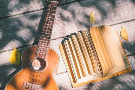 西南財大專業(yè)碩士的招生流程