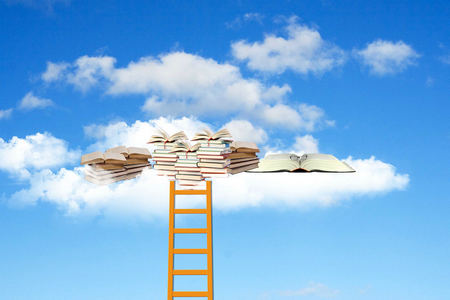 上海財經大學專業碩士 上海財經大學專業碩士