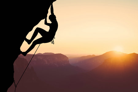 深圳大學MF招生信息 深圳大學MF招生信息