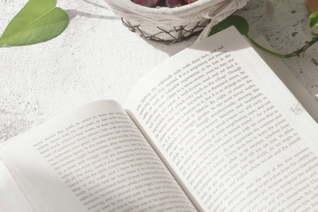 法國維萊爾國際商學院在職研究生