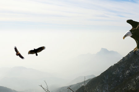 江西地區非全日制研究生招生院校