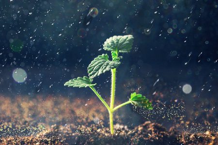 江西在職研究生招生信息