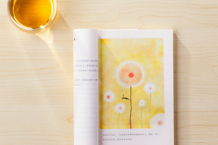 西南交通大學專業碩士招生信息