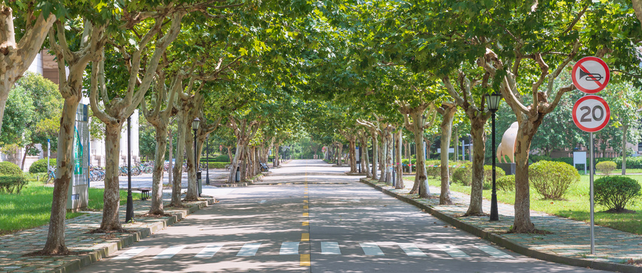 荷蘭商學院在職研究生 荷蘭商學院在職研究生