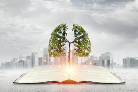 中國科學院大學工程管理碩士招生時間 中國科學院大學工程管理碩士招生時間