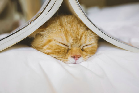 天津大學EMBA招生五大環節 天津大學EMBA招生五大環節