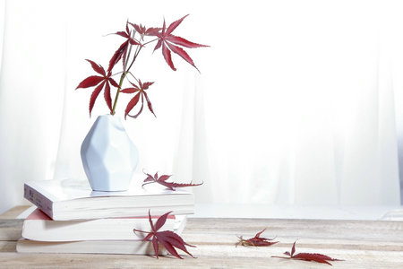 吉林大學MBA兩大招生學院