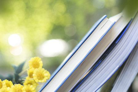 環境與資源保護法學在職博士招生條件