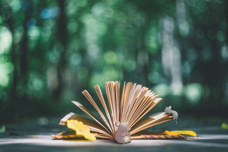 民商法學在職博士招生詳情