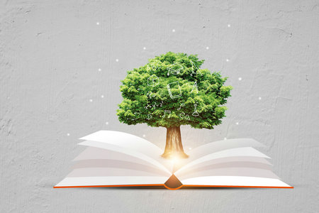 廣東地區(qū)專業(yè)碩士