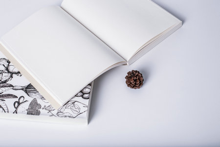 社科院金融專碩招生計劃