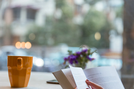 凱迪雷拉大學國際博士 凱迪雷拉大學國際博士