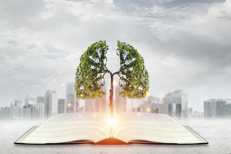 武漢工程大學在職研究生招生計劃