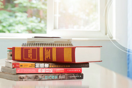 法國里昂商學(xué)院中外合作辦學(xué)招生專業(yè) 法國里昂商學(xué)院中外合作辦學(xué)招生專業(yè)