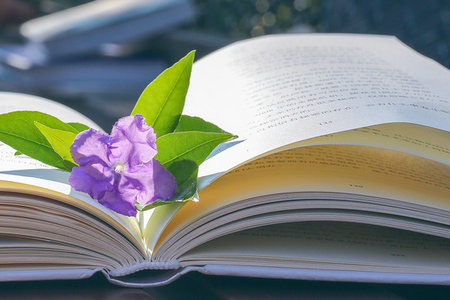 華東交通大學在職研究生浙江地區招生情況