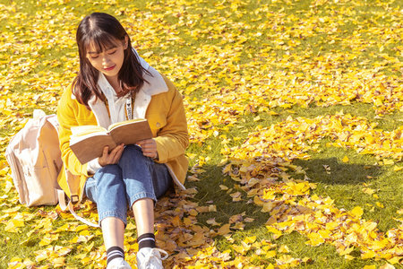 西南財經大學專業碩士招生方向