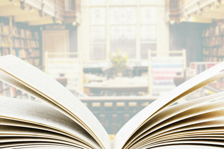 英賽克高等商學院國際碩士招生時間