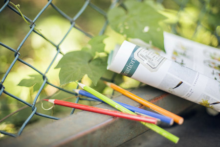 公共管理國際博士 公共管理國際博士