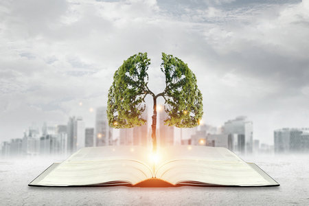 外國哲學在職研究生