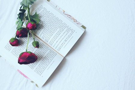 中國科學院大學MPA 中國科學院大學MPA