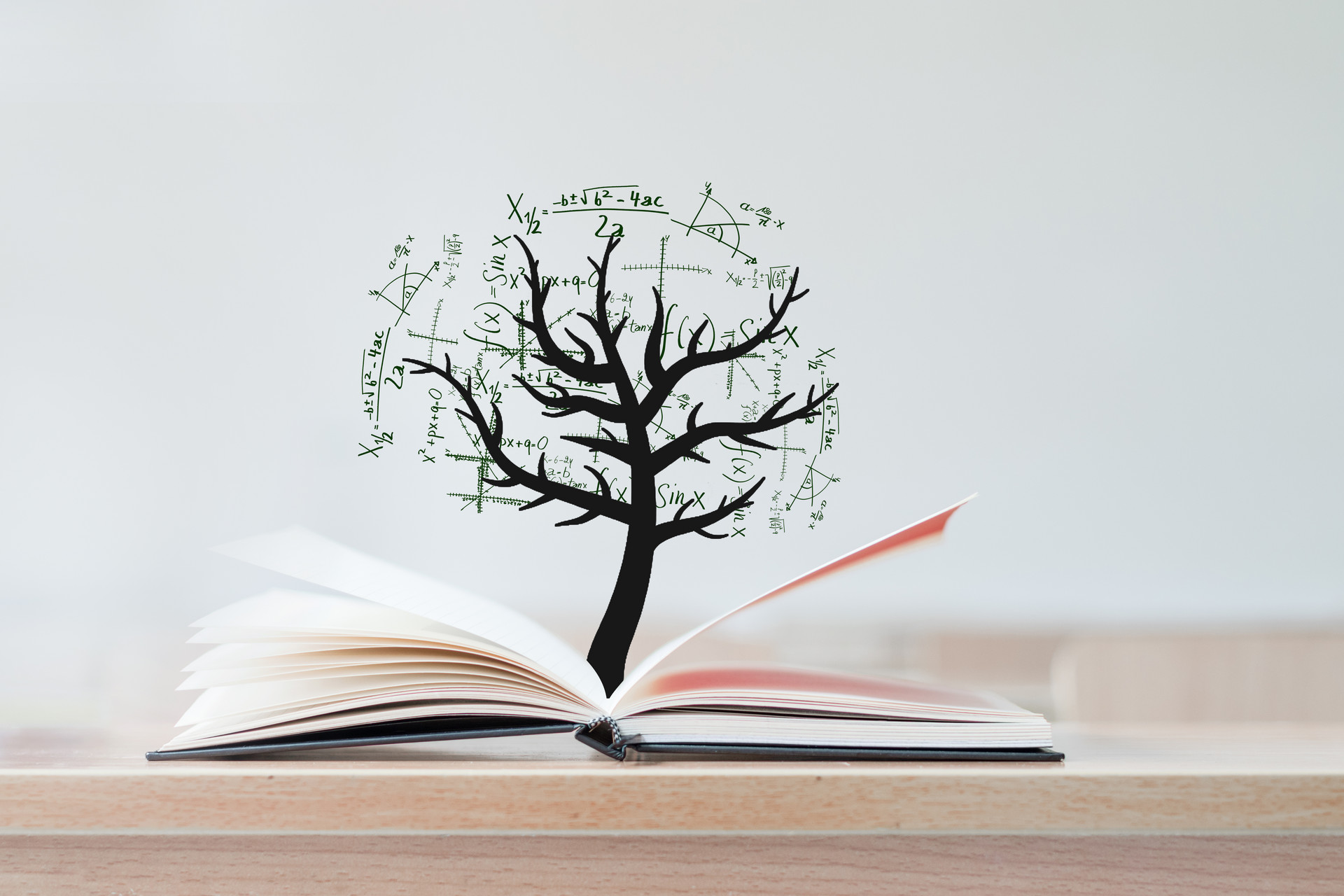 廈門大學在職研究生