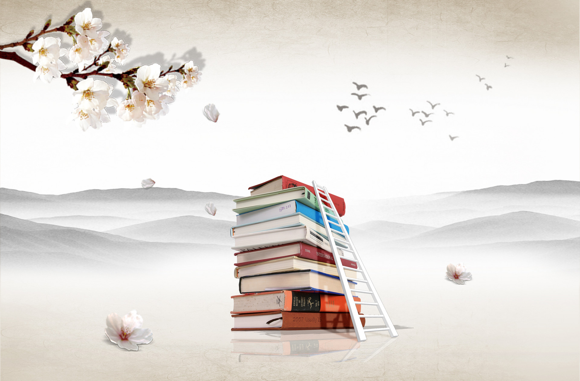 財(cái)政學(xué)在職研究生 財(cái)政學(xué)在職研究生