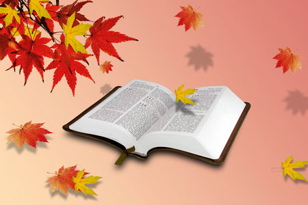 法學同等學力招生條件