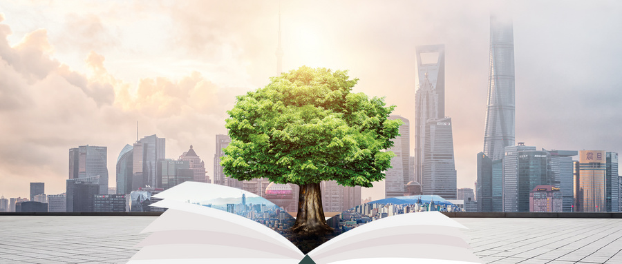 電子科技大學MPA招生條件 電子科技大學MPA招生條件