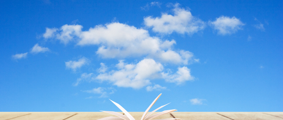 中國農業大學MBA招生方向 中國農業大學MBA招生方向