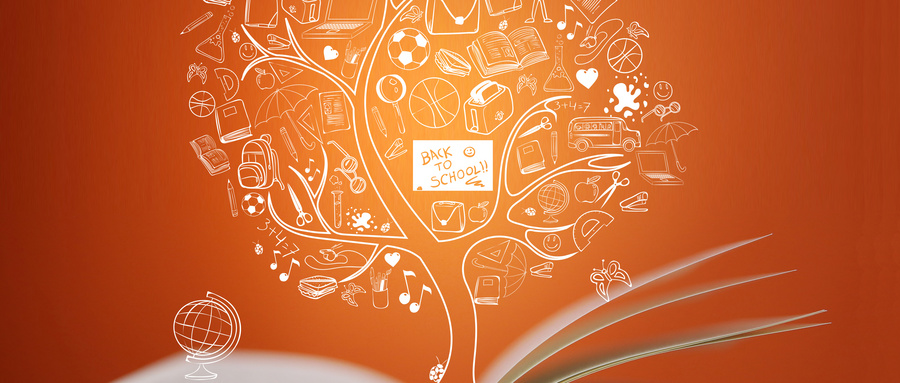 安徽理工大學MEM招生類型