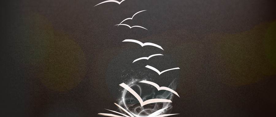 法國ILCI高等商學院國際碩士 法國ILCI高等商學院國際碩士