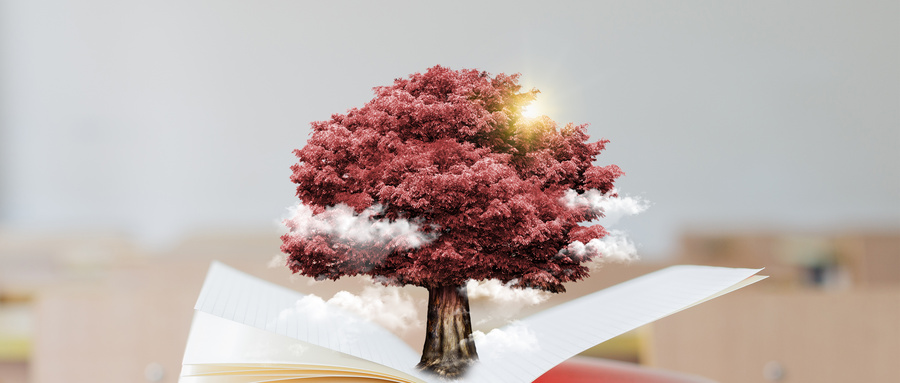 瑞士中央管理大學國際碩士招生專業