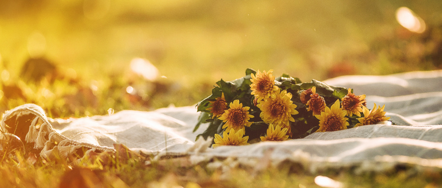 黑龍江八一農墾大學MPAcc招生動態