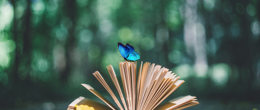 青海民族大學(xué)在職研究生招生情況