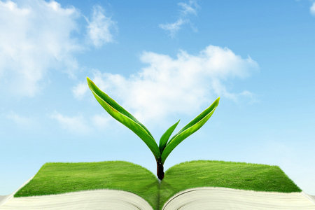 長江大學同等學力招生條件