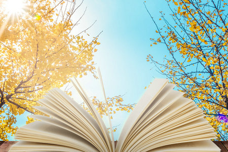 中南林業科技大學同等學力招生時間 中南林業科技大學同等學力招生時間