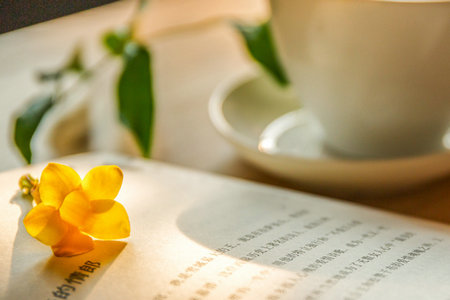 武漢輕工大學(xué)同等學(xué)力招生人群