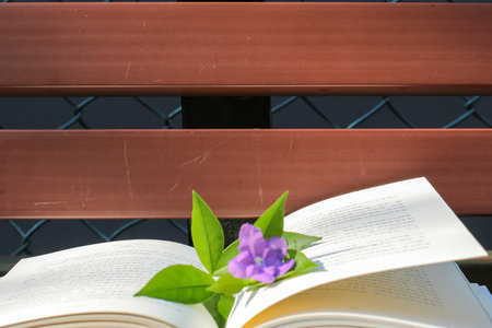 上海戲劇學院非全日制研究生招生對象 上海戲劇學院非全日制研究生招生對象