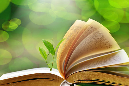 中國社會科學院研究生院在職研究生招生類型