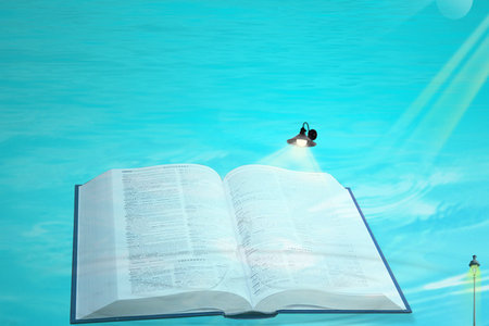 北京林業大學非全日制研究生招生流程