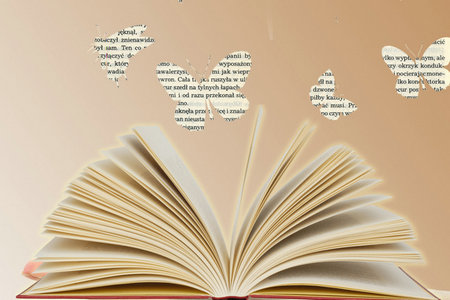 上海財(cái)經(jīng)大學(xué)在職研究生經(jīng)濟(jì)學(xué)招生流程 上海財(cái)經(jīng)大學(xué)在職研究生經(jīng)濟(jì)學(xué)招生流程