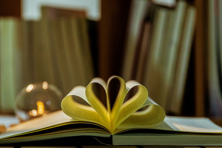 山東理工大學(xué)農(nóng)業(yè)管理碩士非全日制研究生招生情況 山東理工大學(xué)農(nóng)業(yè)管理碩士非全日制研究生招生情況