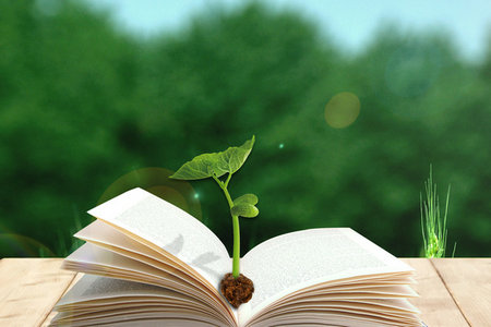 南昌大學(xué)中國古典文獻(xiàn)學(xué)同等學(xué)力招生信息